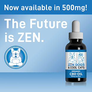 zen dogs and cool cats tincture